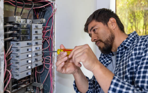 Best Local Electrician Companies  in Pleasantville, IA